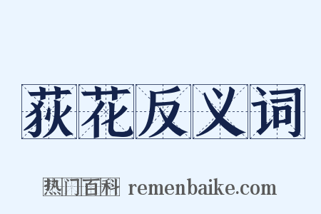 荻花反义词是什么意思的图片